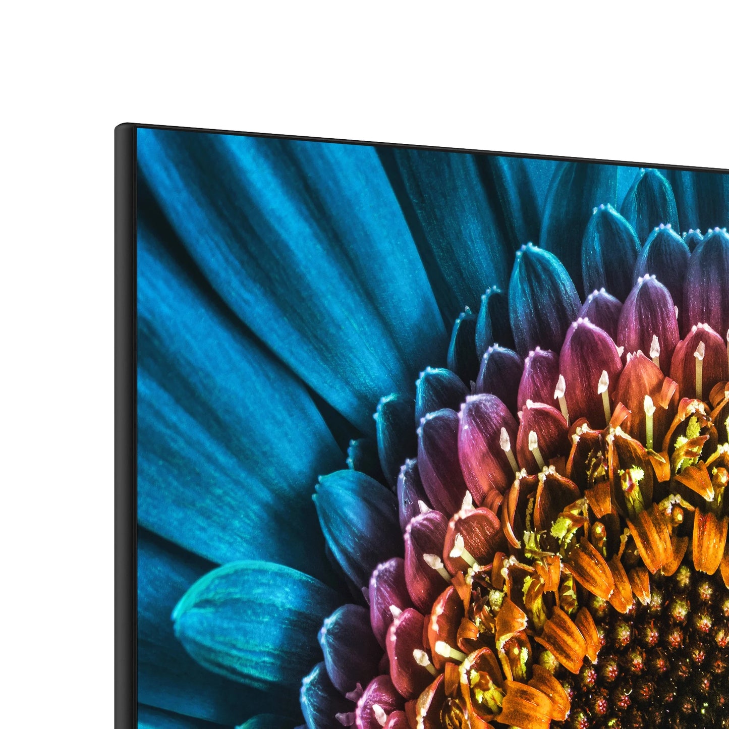 Element 27” 1080P IPS LCD 3-Side Frameless Computer Monitor - Black (EM2FPAB27B)