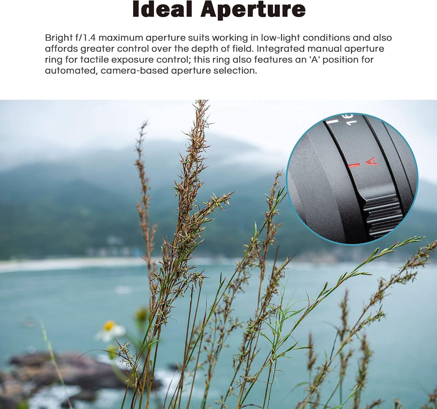 23Mm F1.4 Auto Focus Wide-Angle Lens Compatible with Nikon Z-Mount APS-C Mirrorless Camera Z Fc Z50 Z5 Z6 Z6 II Z7 Z7 II (Black)