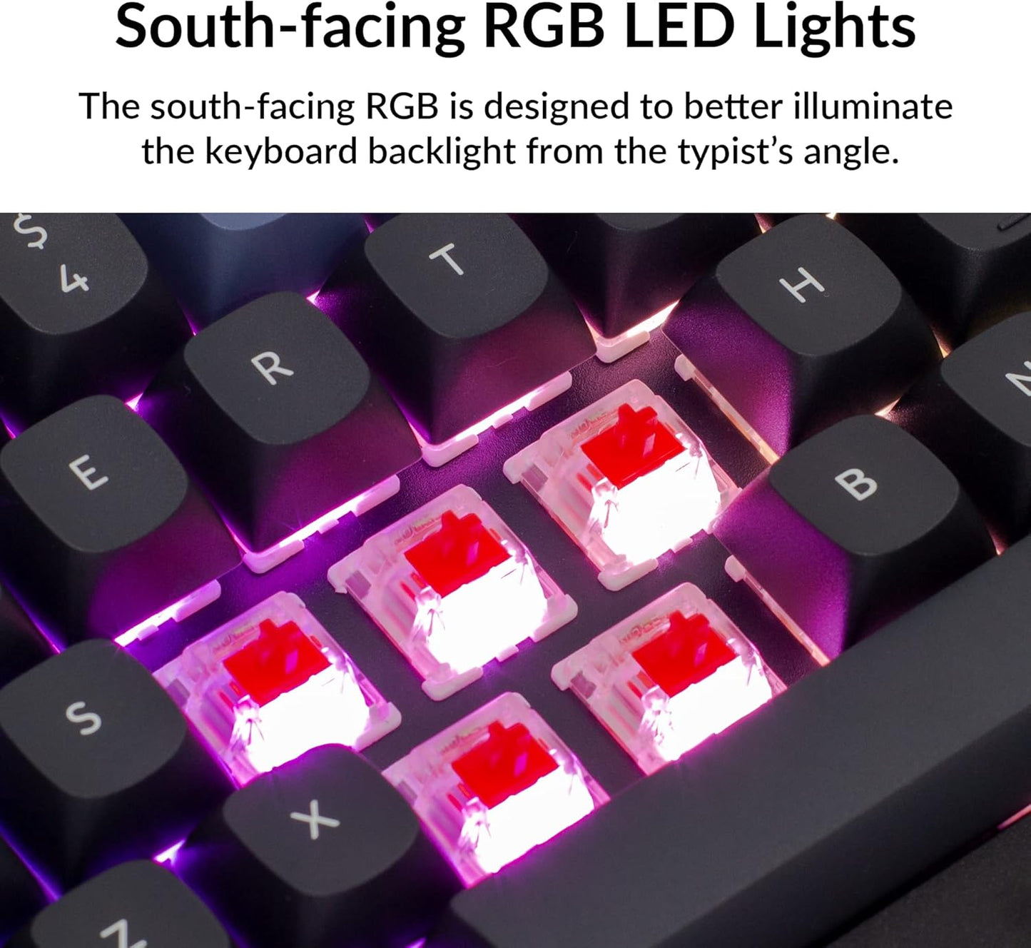Q2 Wired Custom Mechanical Keyboard, QMK/VIA Programmable Macro, Full Aluminum, Hot-Swappable Gateron G Pro Red Switch, 65% Layout Double Gasket Compatible with Mac and Windows - Black