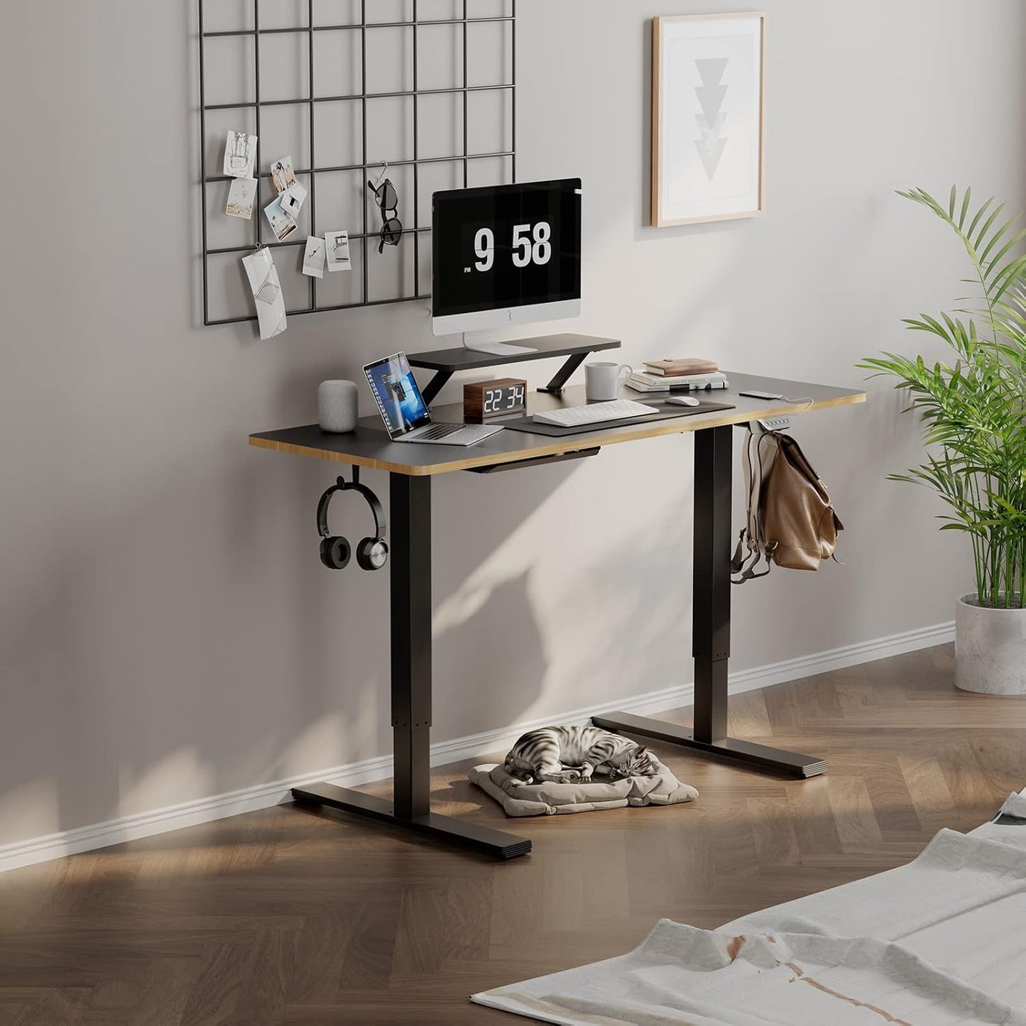 Height Adjustable Desk 55 Inch, Electric Standing Desk/W USB Charging Ports, Black Sit Stand Desk for Home Office with Monitor Shelf (55 X 24 Inches)