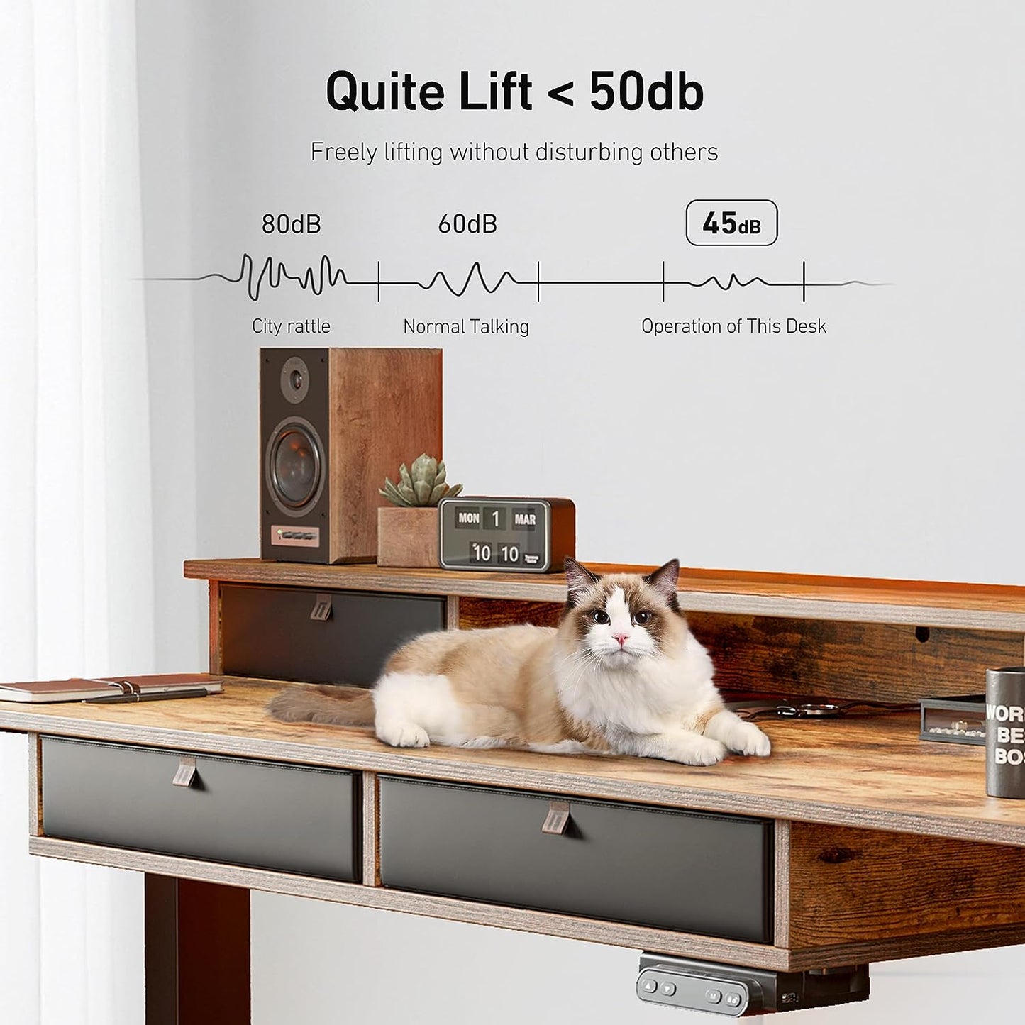 55 X 24 Electric Standing Desk Adjustable Height with 4 Drawers, Sit Stand Desk with Storage Shelf, Rising Desk with Splice Board, Black Frame/Rustic Brown Top, 55 Inch