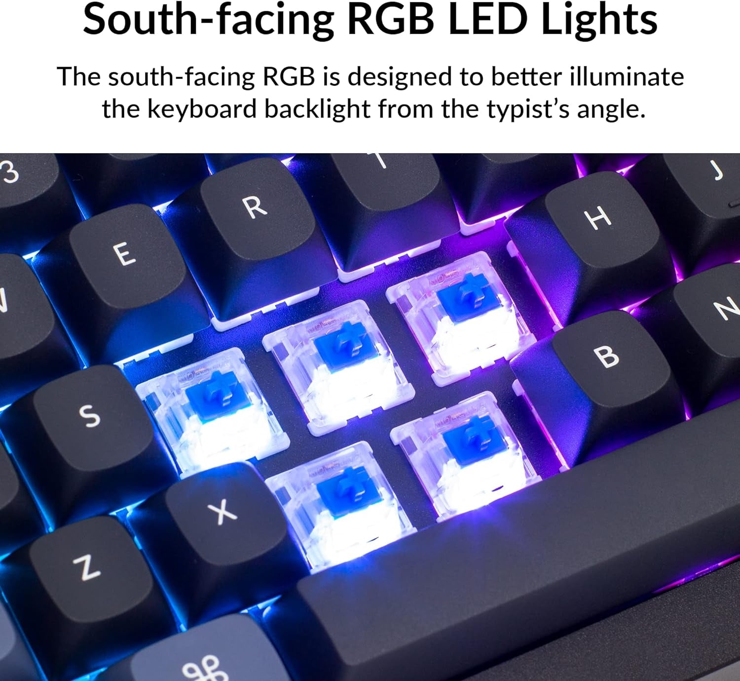 Q2 Wired Custom Mechanical Keyboard, QMK/VIA Programmable Macro, Full Aluminum, Hot-Swappable Gateron G Pro Blue Switch, 65% Layout Double Gasket Compatible with Mac and Windows - Black