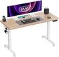 55'' Electric Height Adjustable Standing Desk,Sit Stand up Desk,Ergonomic Sit-Stand Desk for Home Office,Maple Top