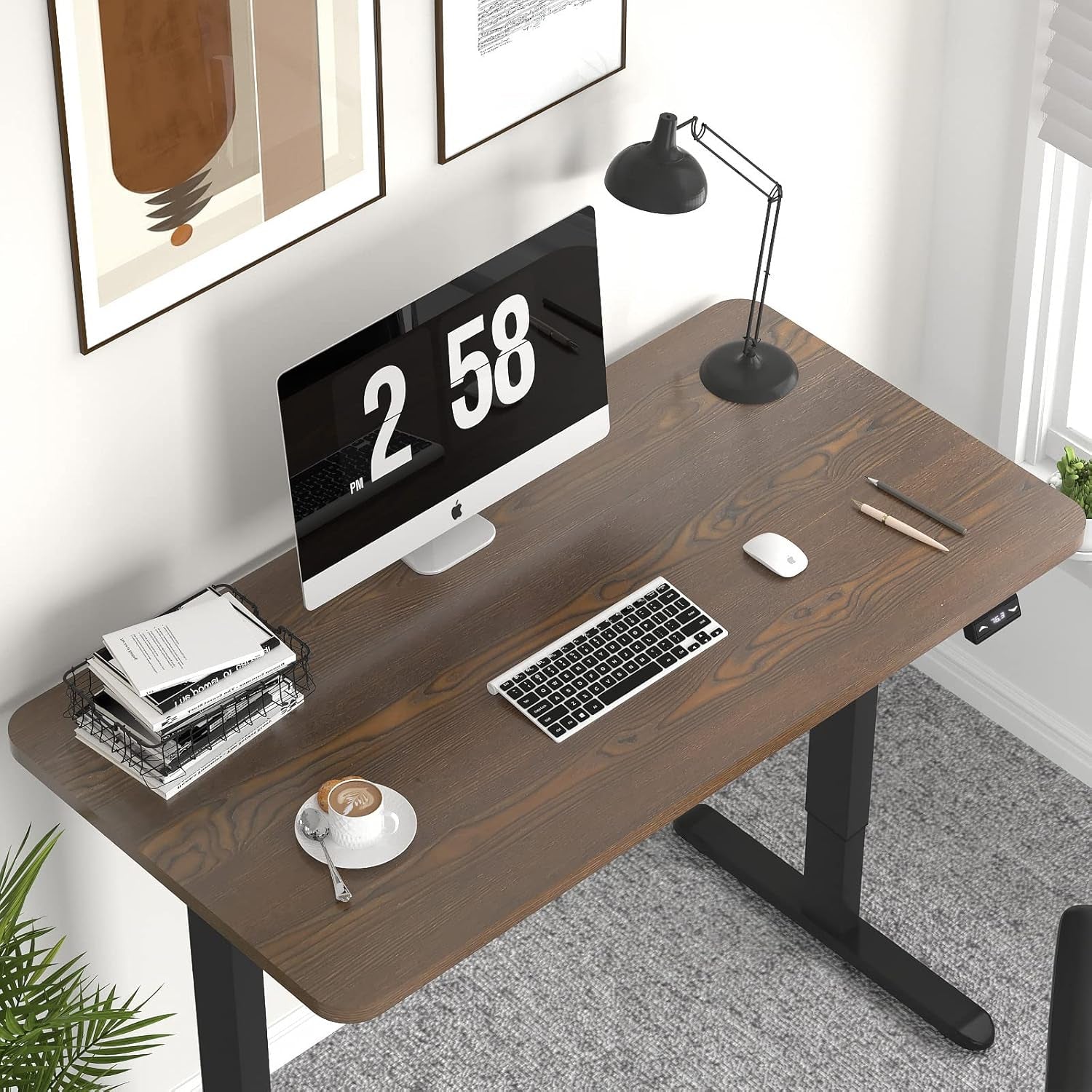 Height Adjustable Electric Standing Desk - 47 X 24 Inch Whole Piece Top Sit Stand Desk Computer Desk - Stand up Desk for Home Office (Black Frame + Walnut Top)