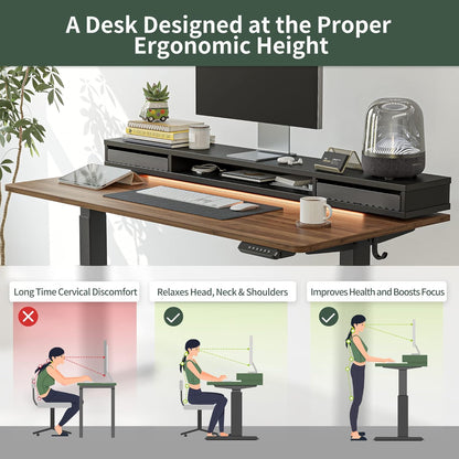 48 X 24 Inch Height Adjustable Electric Standing Desk with Double Drawers, Stand up Desk with LED Strips, Sit Stand Desk with Monitor Stand, Black Walnut